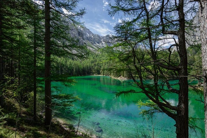 Private Vienna City Escape: Cool Alpine Forests & Hidden Styria