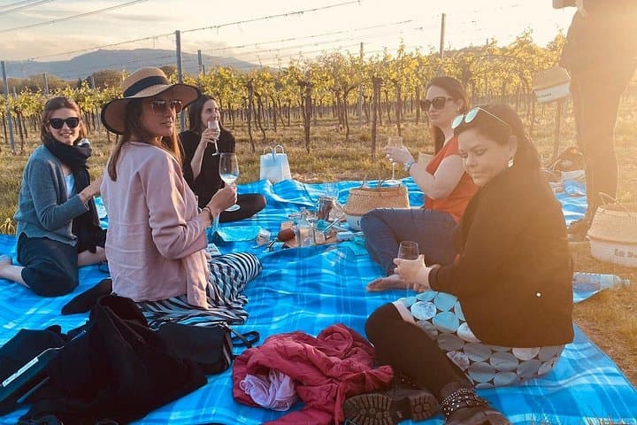 Wine picnic THE EXCLUSIVE EXPERIENCE IN VIENNA'S VINEYARDS!