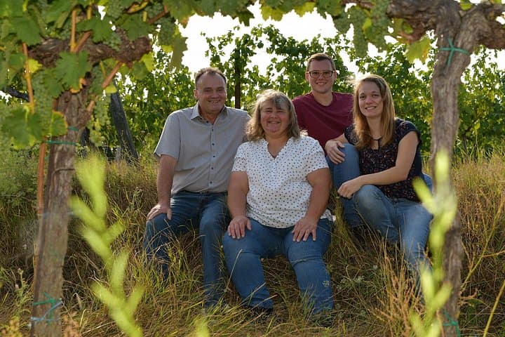 Wine garden hike with wine tasting in Hohenruppersdorf