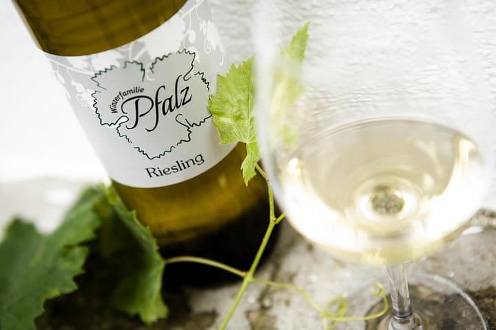 Wine garden hike with wine tasting in Hohenruppersdorf