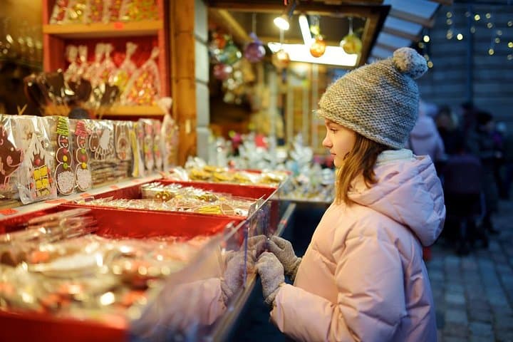 Christmas day trip: Vienna to Salzburg, English speaking driver