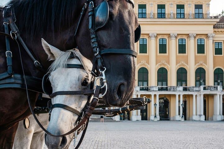Imperial Elegance Professional Photoshoot at Schonbrunn Palace