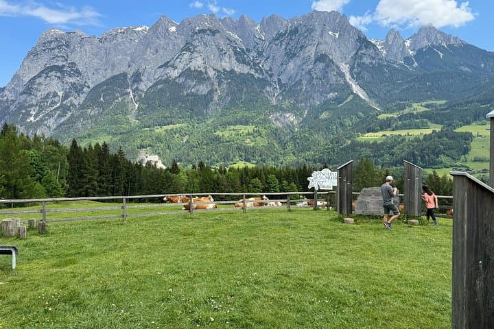 Do-Re-Mi Alpine Tour: Salzburg, Alps & Berchtesgaden