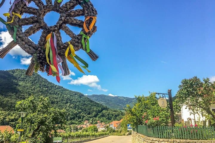 Wachau Vineyard Walk