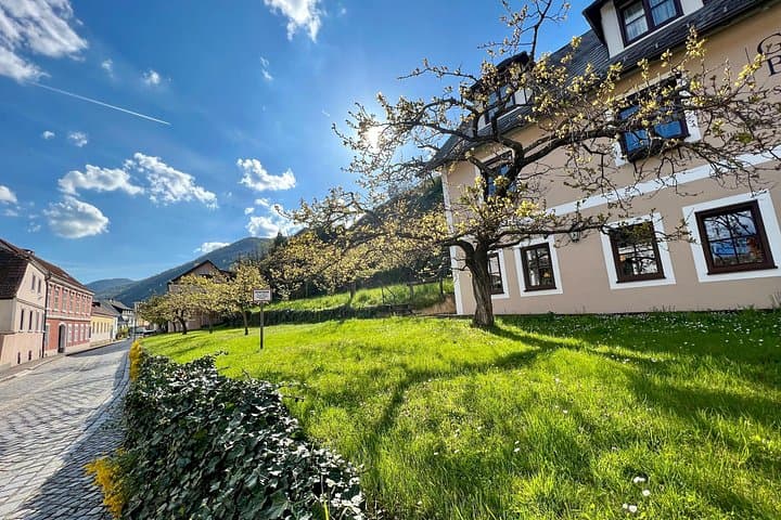 Wachau Vineyard Walk