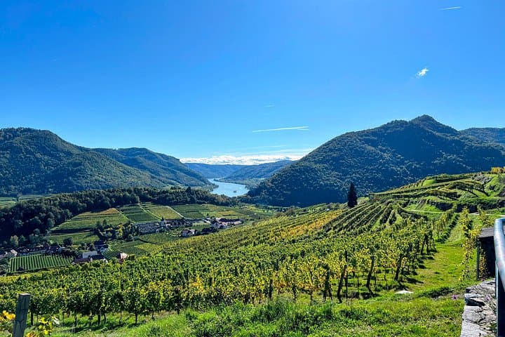 Wachau Vineyard Walk