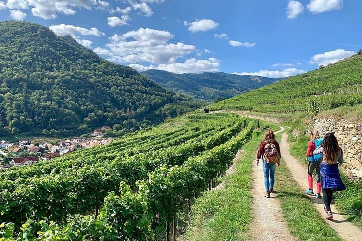 Wachau Vineyard Walk