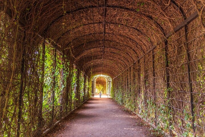 Kid Friendly Vienna Schönbrunn Palace Guided Tour with Gardens