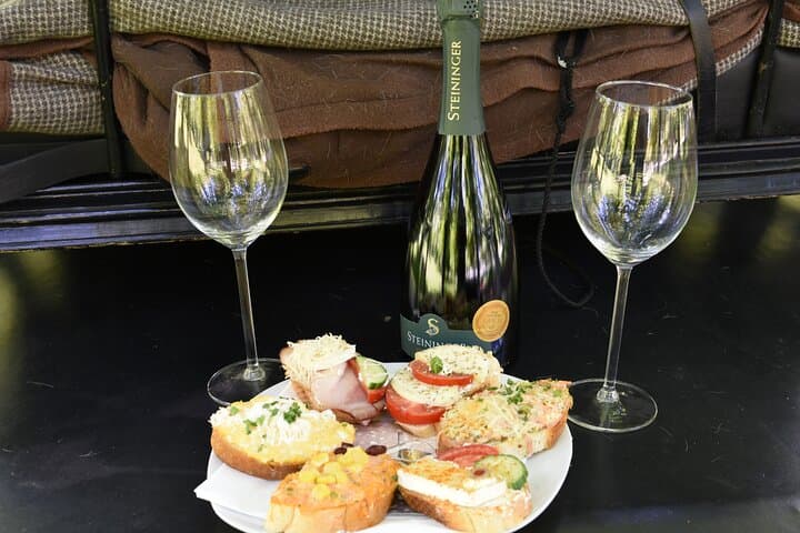 Sparkling carriage ride through Krems and the Wachau vineyards