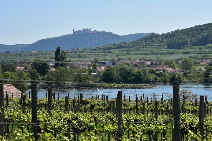 Sparkling carriage ride through Krems and the Wachau vineyards