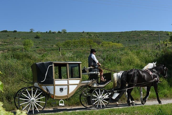 Sparkling carriage ride through Krems and the Wachau vineyards