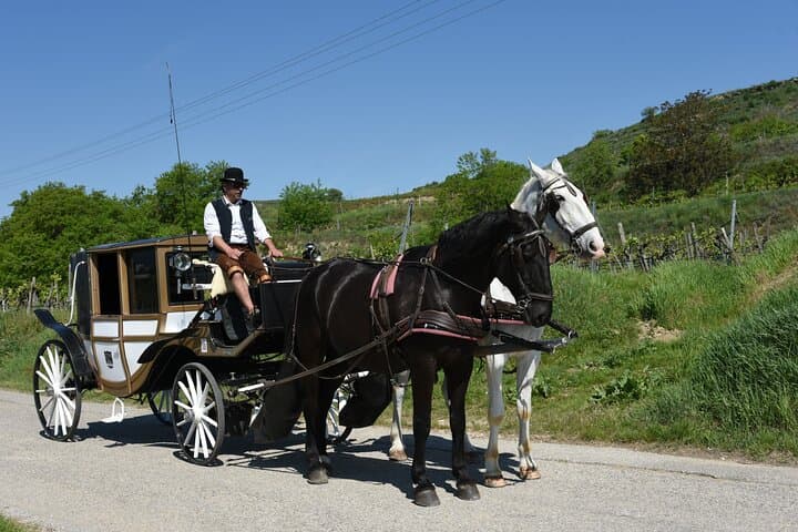 Sparkling carriage ride through Krems and the Wachau vineyards