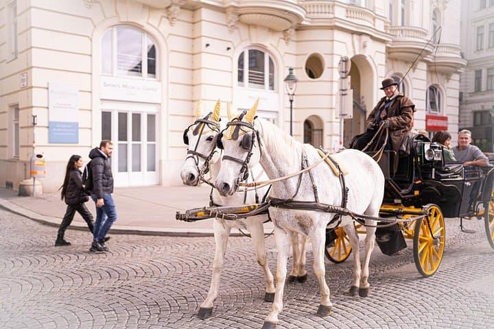 Romanian Vienna A Taste of History and Imperial Flavors