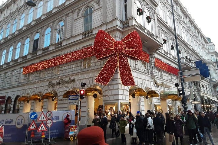 Fall in Love with Vienna in 2 Hours - Small Group