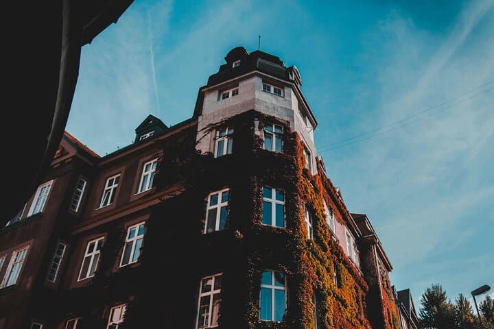 Vienna Day Trip: Explore Bratislava & Budapest with a Guide