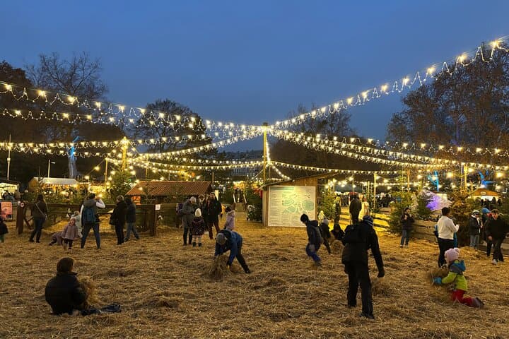 The magic of a Viennese Christmas market