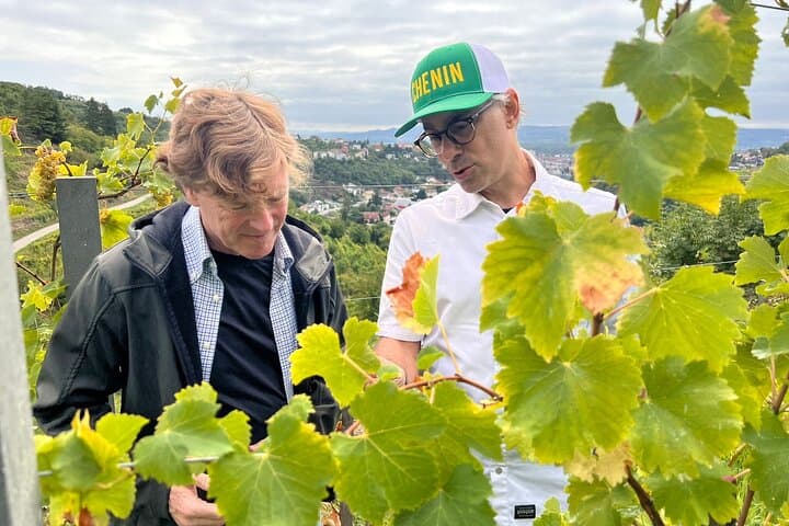 Organic wine growler Chris Sciacca showing his Chenin Blanc vines in his Kremsleithen vineyard.