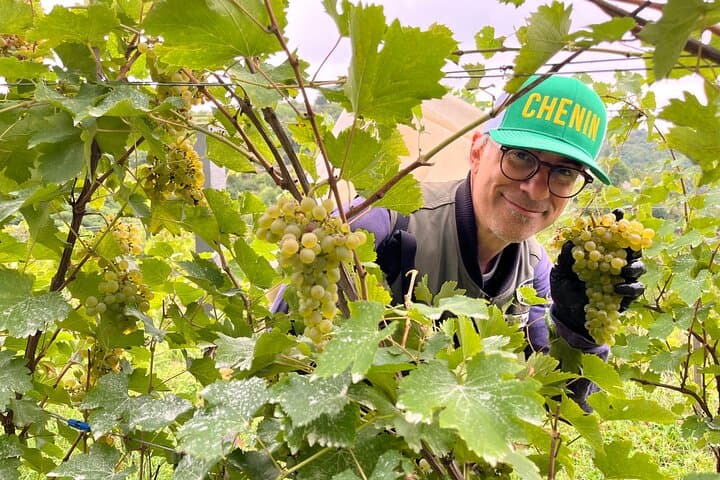 Organic wine grower Chris Sciacca in his vineyard in Krems, Austria.