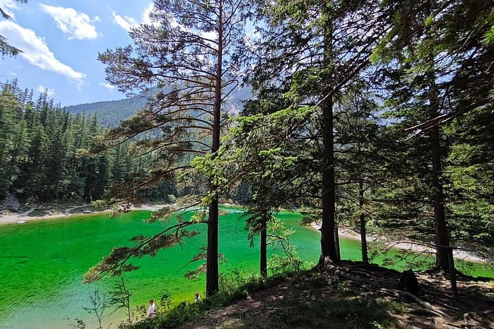 Private Vienna City Escape: Cool Alpine Forests & Hidden Styria