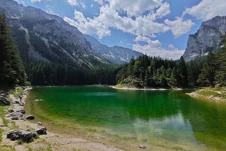 Private Vienna City Escape: Cool Alpine Forests & Hidden Styria