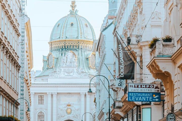 Vienna Private Driver to Explore the City
