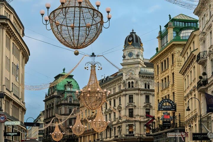 Vienna Private Driver to Explore the City