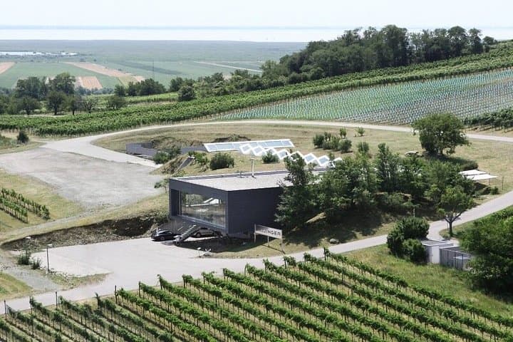 Private day tour Roman ruins wine tasting and outlet shopping