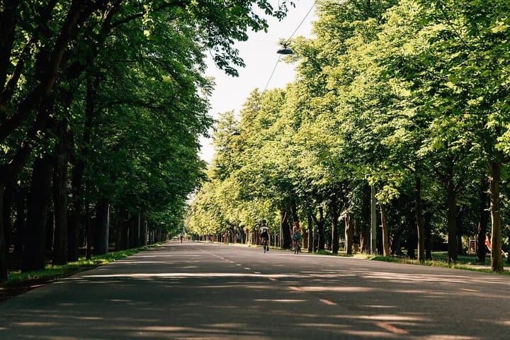 E-Bike Vienna’s Danube River & Green Park Routes